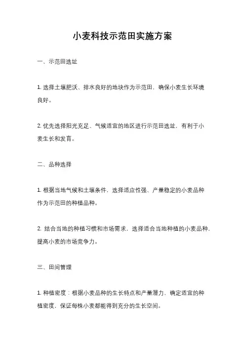 小麦科技示范田实施方案