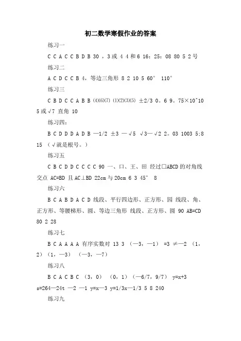 初二数学寒假作业的答案