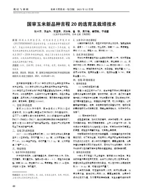 国审玉米新品种吉程20 的选育及栽培技术