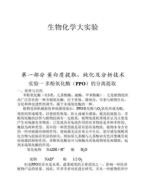 生物化学大实验.