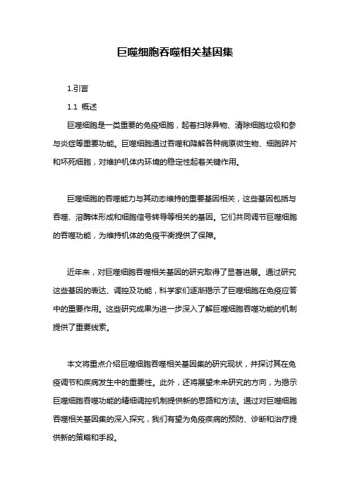 巨噬细胞吞噬相关基因集
