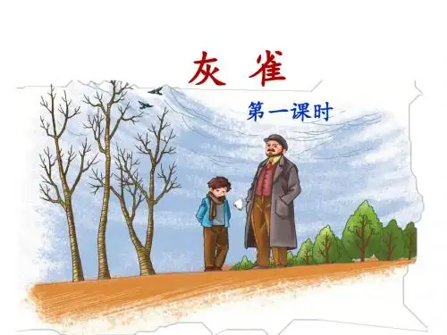 部编人教版三年级语文上册第26课《灰雀》优质课件(两课时共44页)