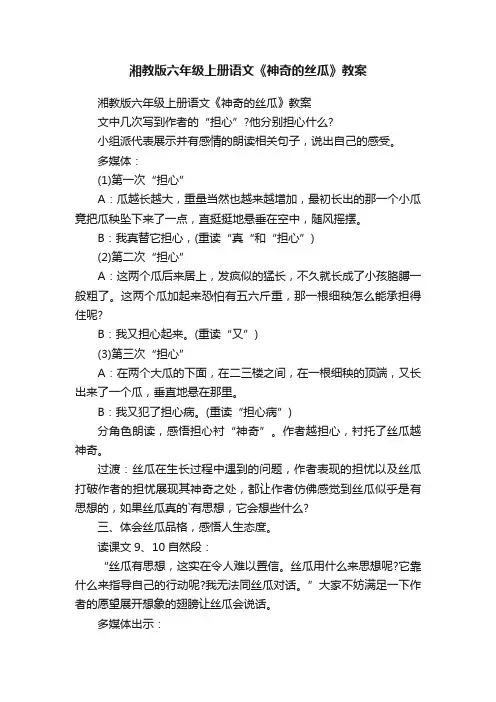 湘教版六年级上册语文《神奇的丝瓜》教案