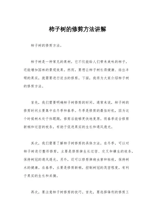 柿子树的修剪方法讲解