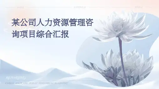 某公司人力资源管理咨询项目综合汇报