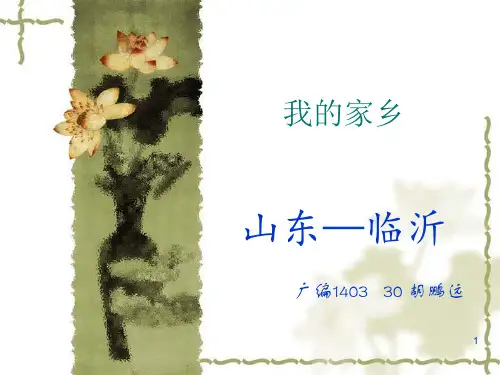我的家乡山东临沂ppt课件
