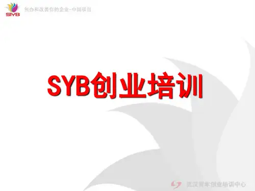 SYB第九步十步课件