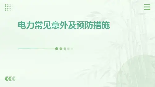 电力常见意外及预防措施ppt