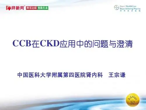 CCB在肾病高血压应用的问题与澄清-0802
