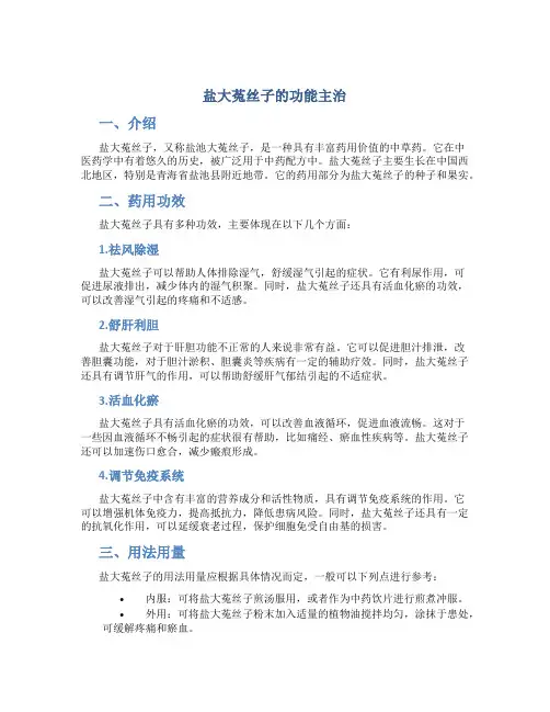 盐大菟丝子的功能主治