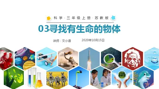 苏教版科学三年级上册03寻找有生命的物体(11)课件PPT-附教案