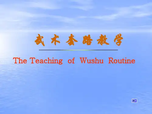武术套路教学