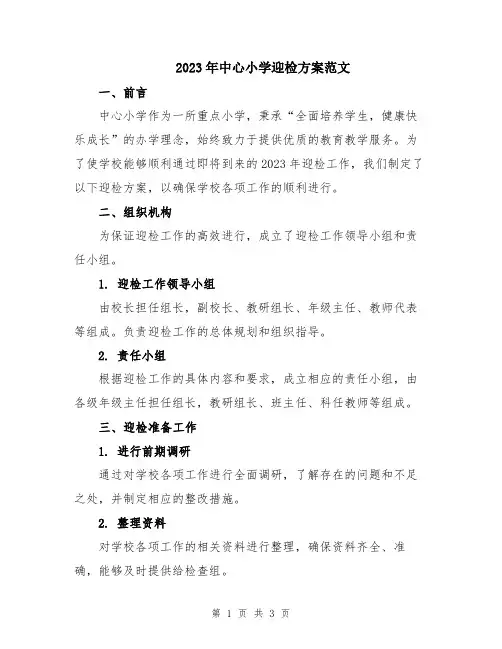 2023年中心小学迎检方案范文