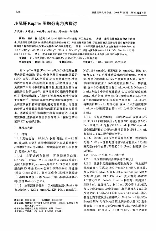 小鼠肝Kupffer细胞分离方法探讨