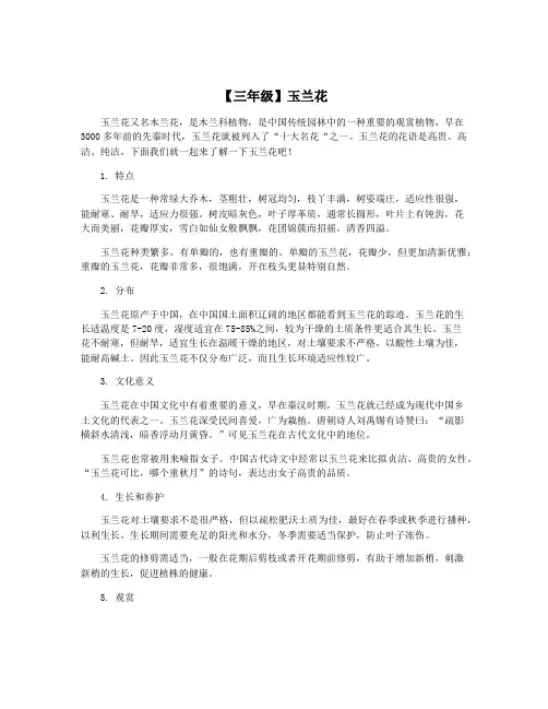【三年级】玉兰花