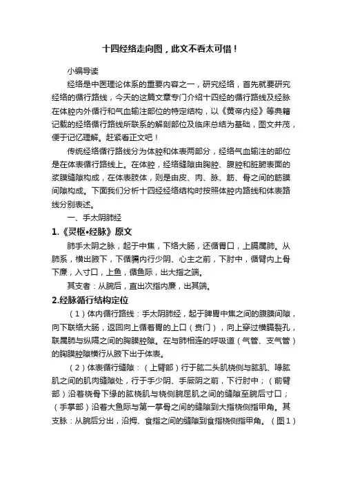 十四经络走向图，此文不看太可惜！