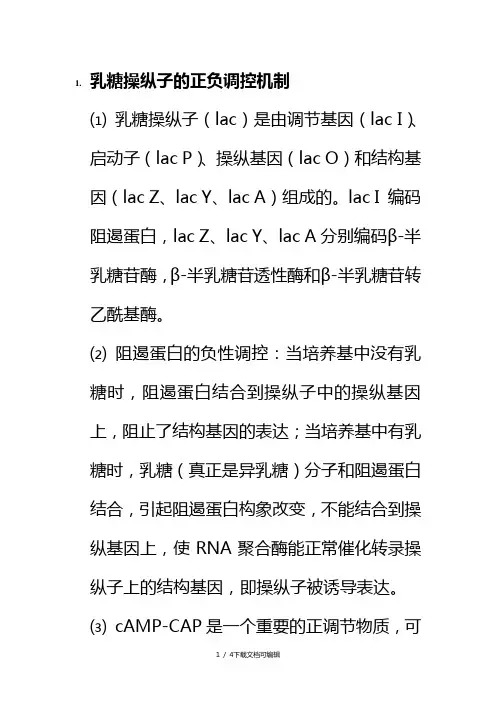 乳糖操纵子的正负调控机制