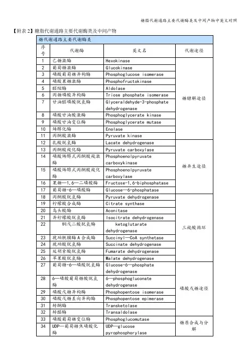 糖脂代谢通路主要代谢酶类及中间产物中英文对照