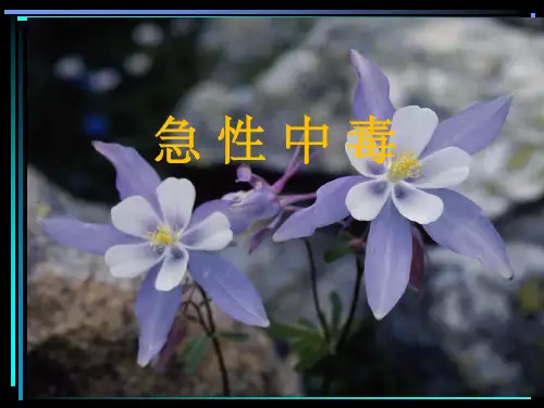 急诊常见中毒