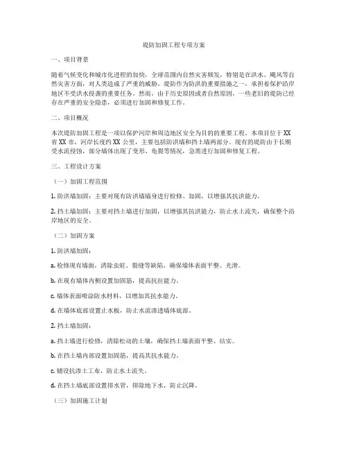 堤防加固工程专项方案