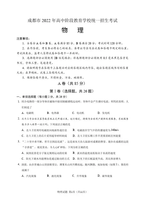 2022年成都市中考物理试题(含答案解析)