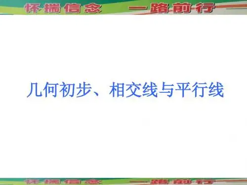 2013年中考数学考前热点拨《几何初步、相交线与平行线 》