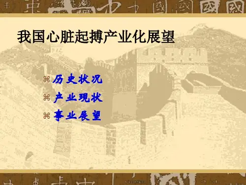 张澍教授：我国心脏起搏器产业化展望