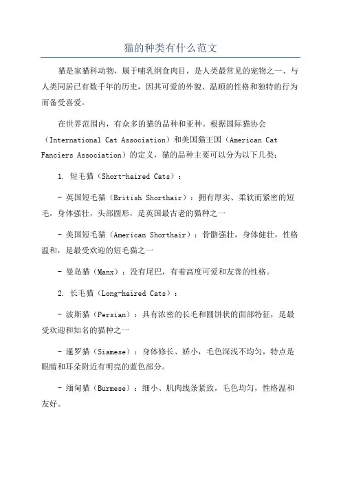 猫的种类有什么范文