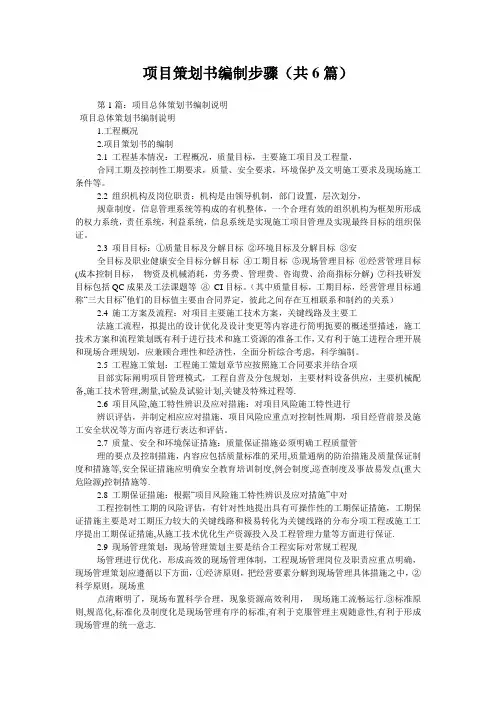 项目策划书编制步骤(共6篇) 
