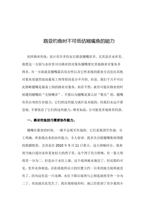 路亚钓鱼时不可低估翘嘴鱼的能力