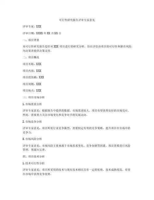 可行性研究报告评审专家意见