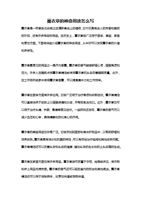薰衣草的神奇用途怎么写