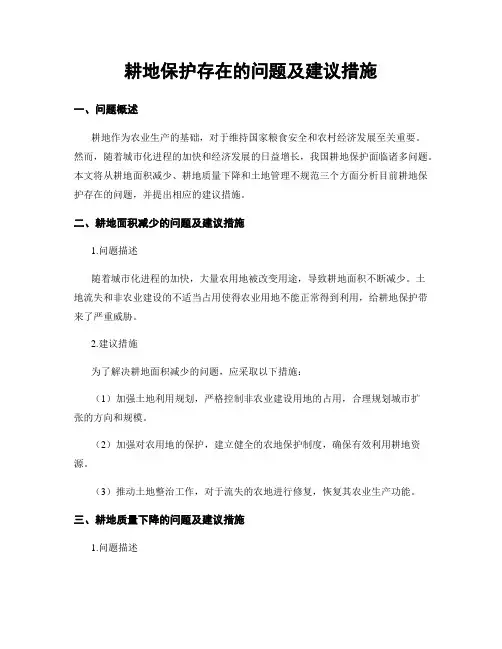 耕地保护存在的问题及建议措施 (2)