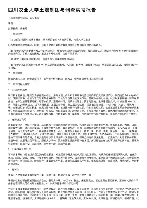 四川农业大学土壤制图与调查实习报告