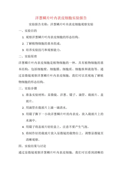 洋葱鳞片叶内表皮细胞实验报告