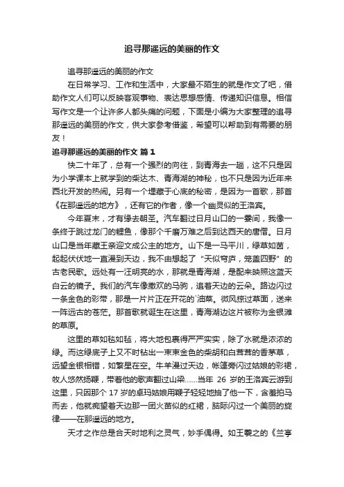 追寻那遥远的美丽的作文