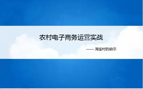 第二章 淘宝村的启示 