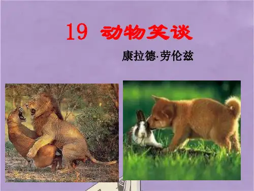 七年级上册语文19动物笑谈课件PPT