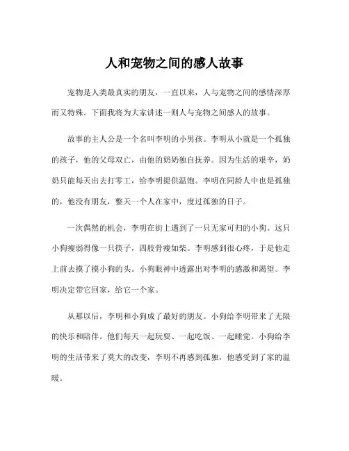人和宠物之间的感人故事