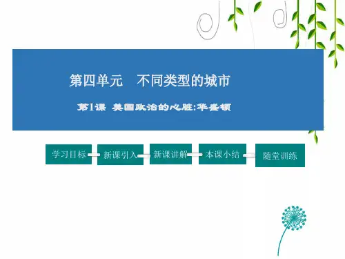 人教版历史七年级上册4美国政治的心脏：华盛顿 课件