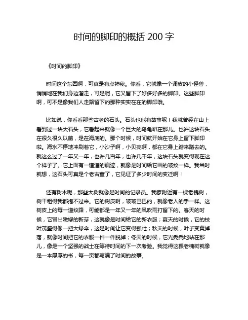 时间的脚印的概括200字