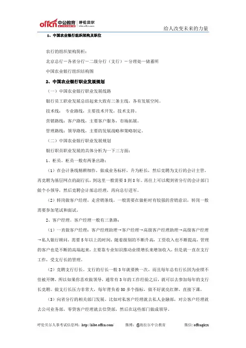 中国农业银行组织架构及职业发展规划