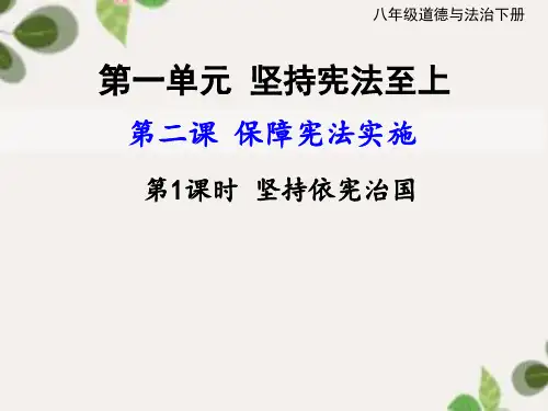 坚持依宪治国----统编版道德与法治八年级下册