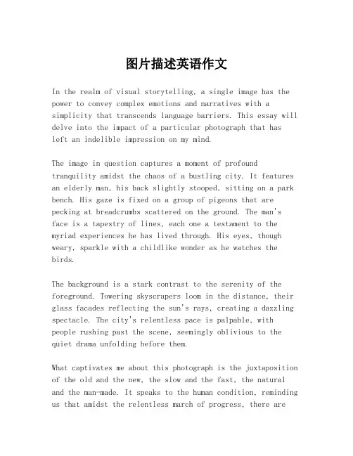 图片描述英语作文