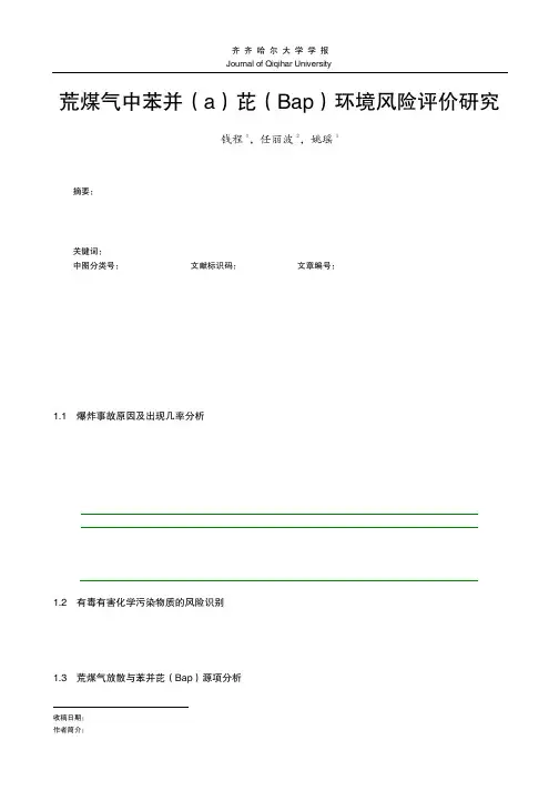 荒煤气中苯并_a_芘_Bap_环境风险评价研究