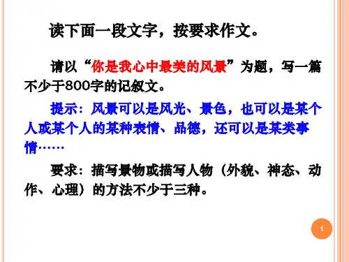 作文：你是我心中最美的风景ppt课件
