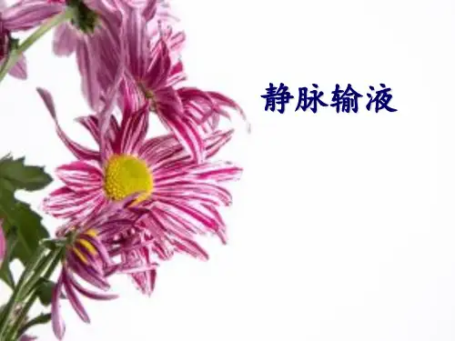 静脉输液PPT课件