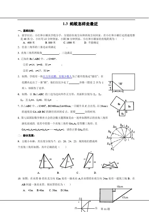 蚂蚁怎样走最近练习卷