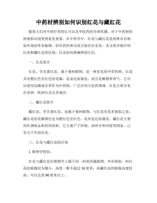 中药材辨别如何识别红花与藏红花