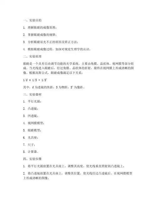 眼睛成像的实验报告